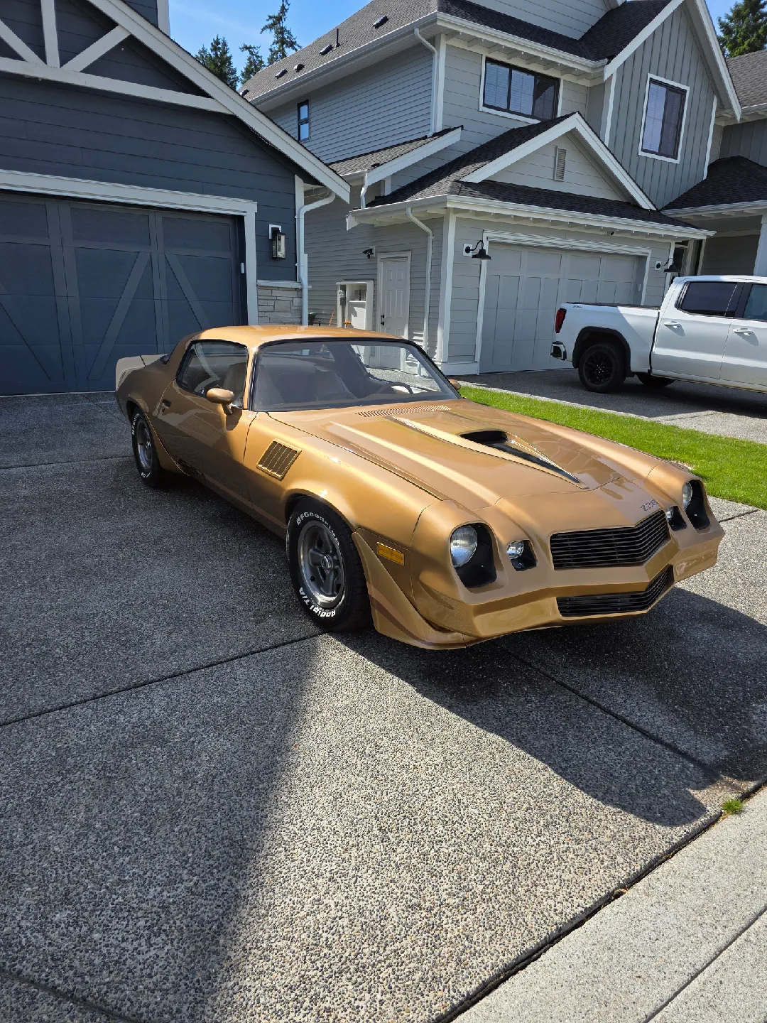 1979 Chevrolet Camaro image indicator(3)