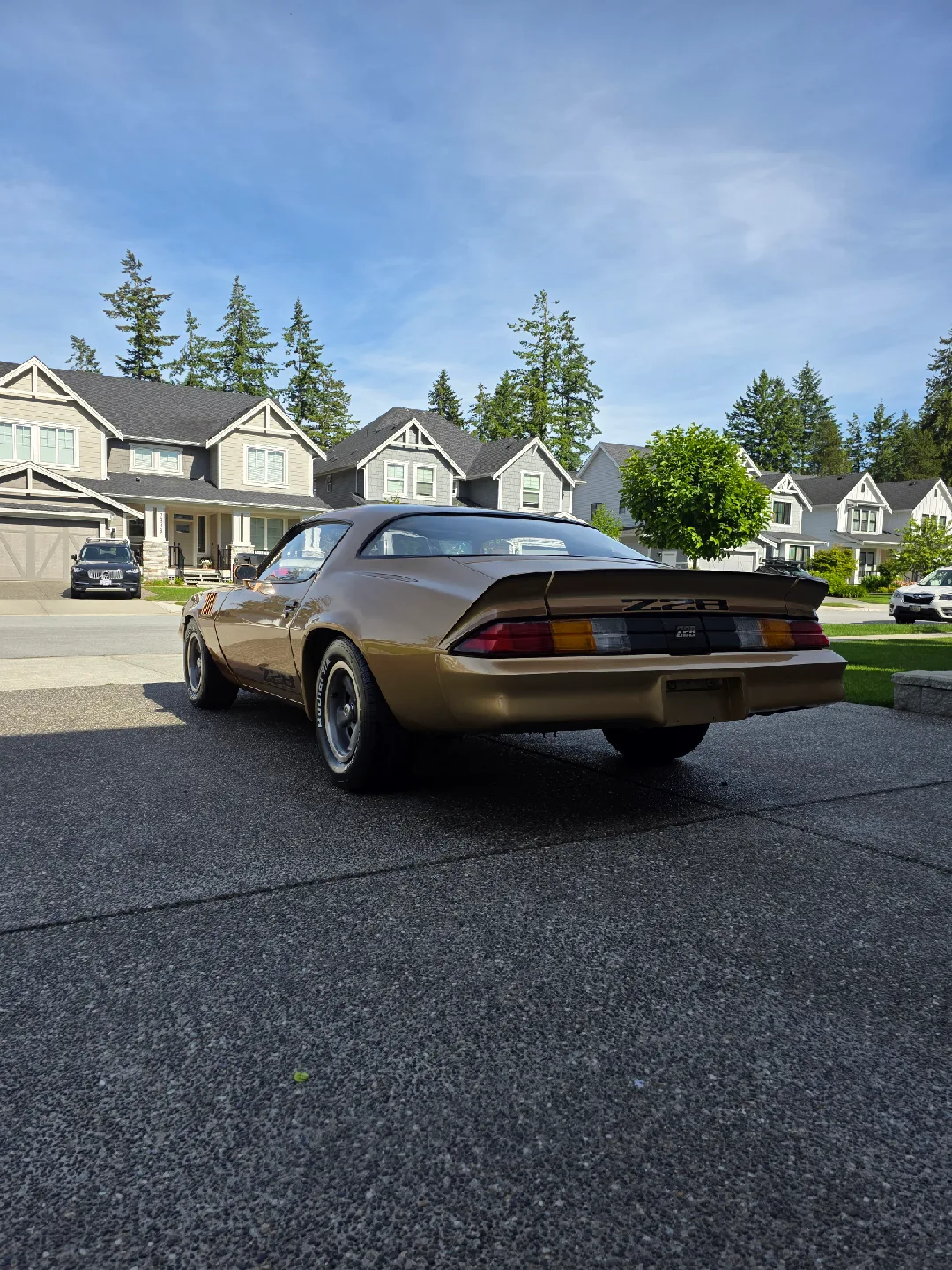 1979 Chevrolet Camaro image indicator(4)