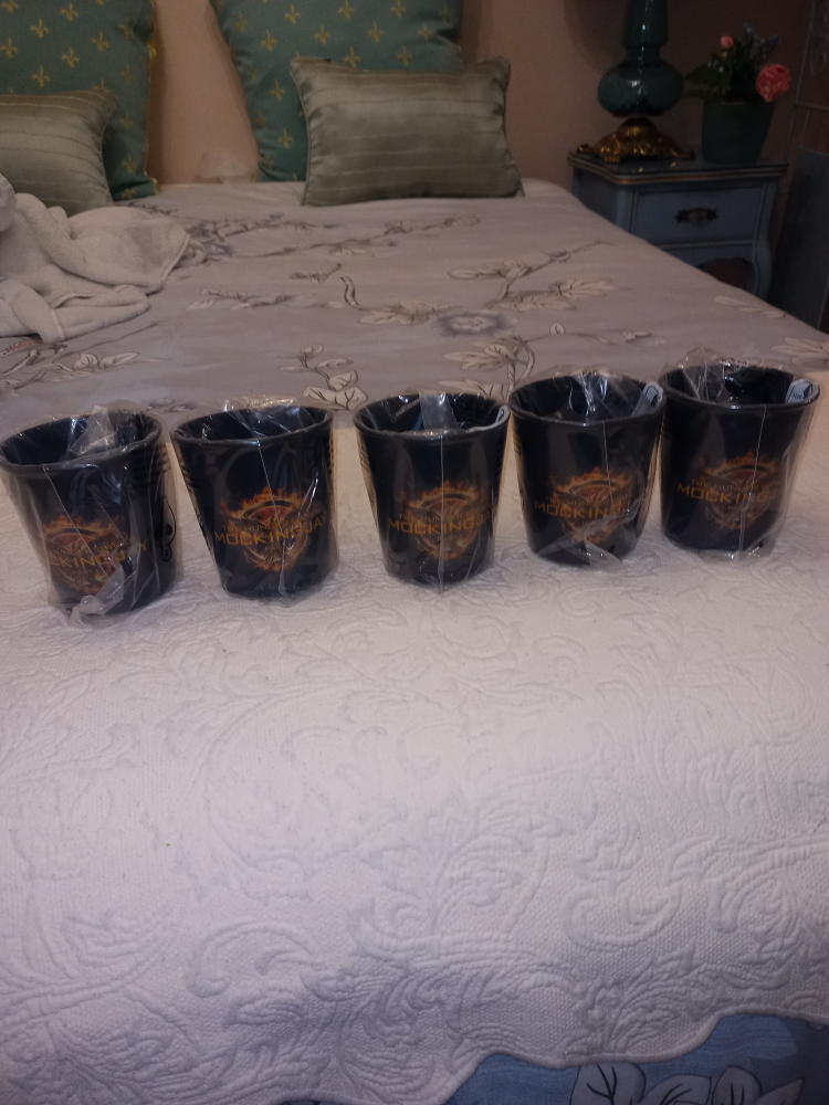 Hunter Games Mockingjay Part 1 Collectable Heat Reveal 5 Mugs