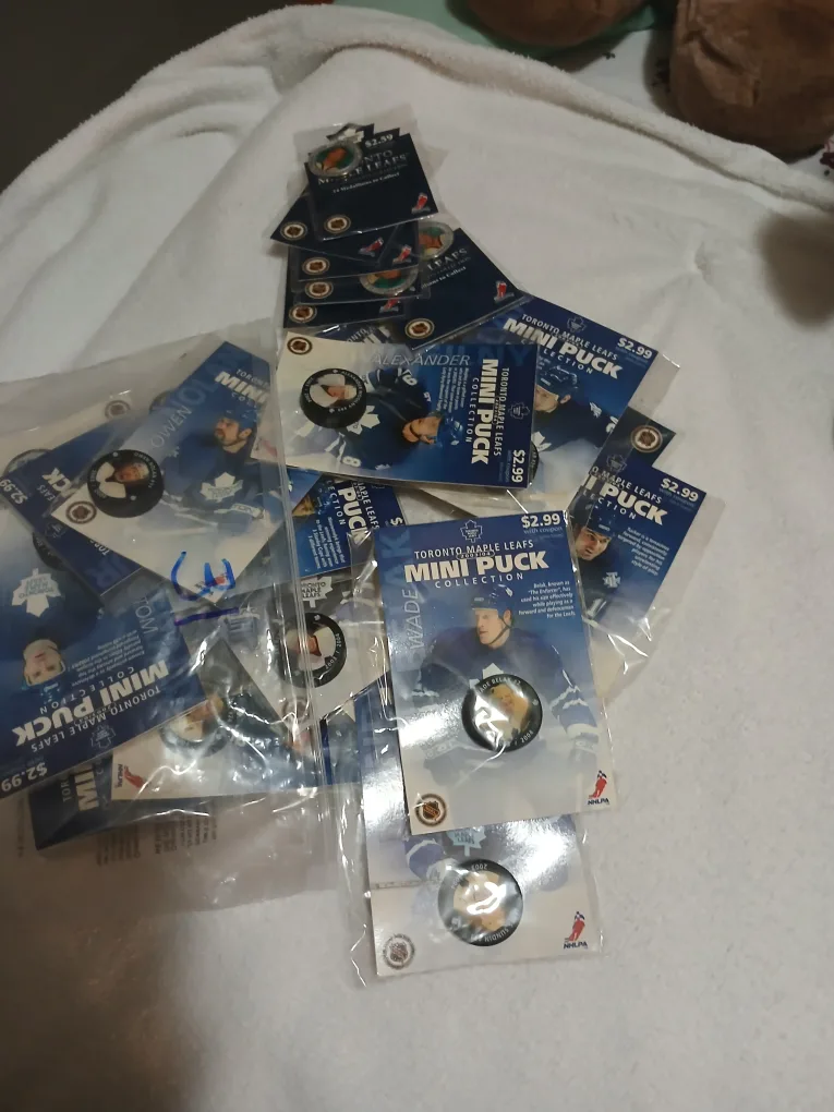 Toronto Maple Leafs 2002/03 Medallion Collection image indicator(2)