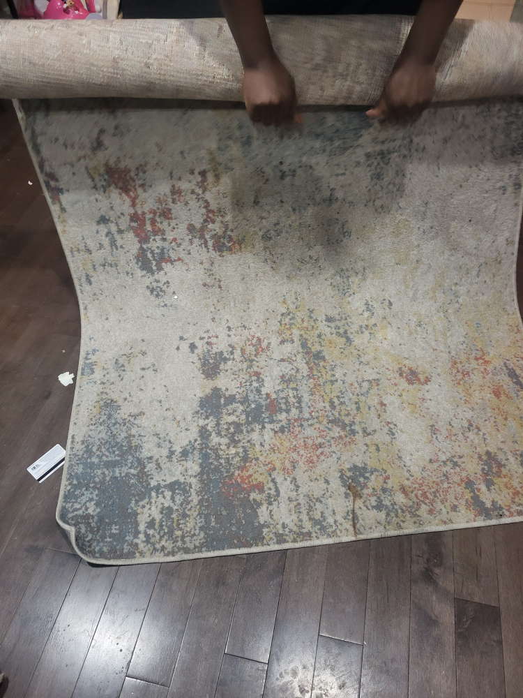 Area Rug - photo 2