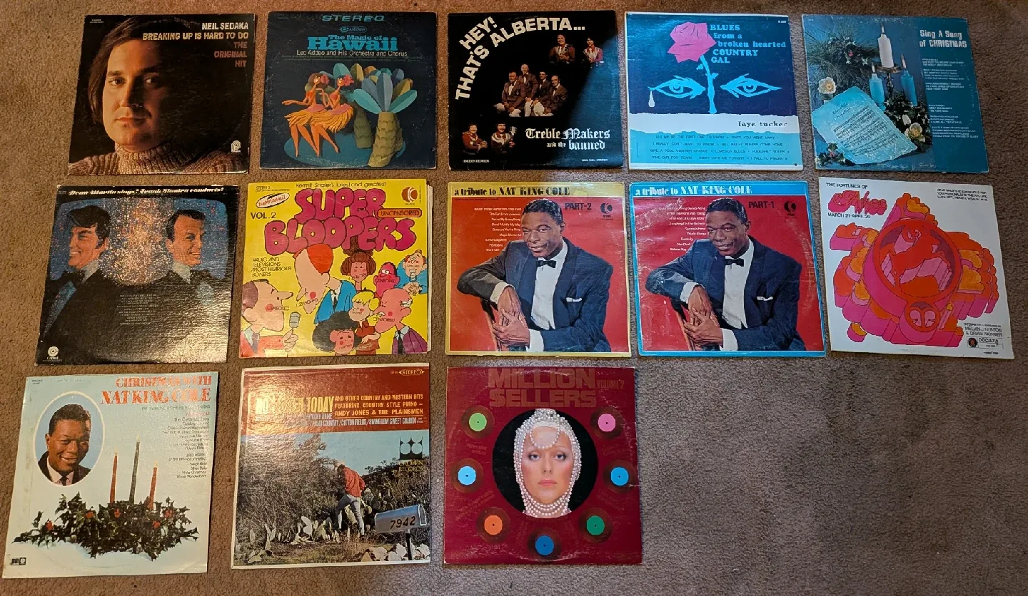 Vintage Vinyl Records & Record Player image indicator(7)