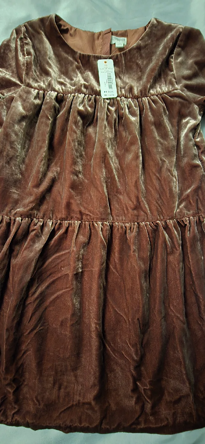 NEW! Girls Gymboree Brown Velvet Dress - Size 10 Youth image indicator(2)