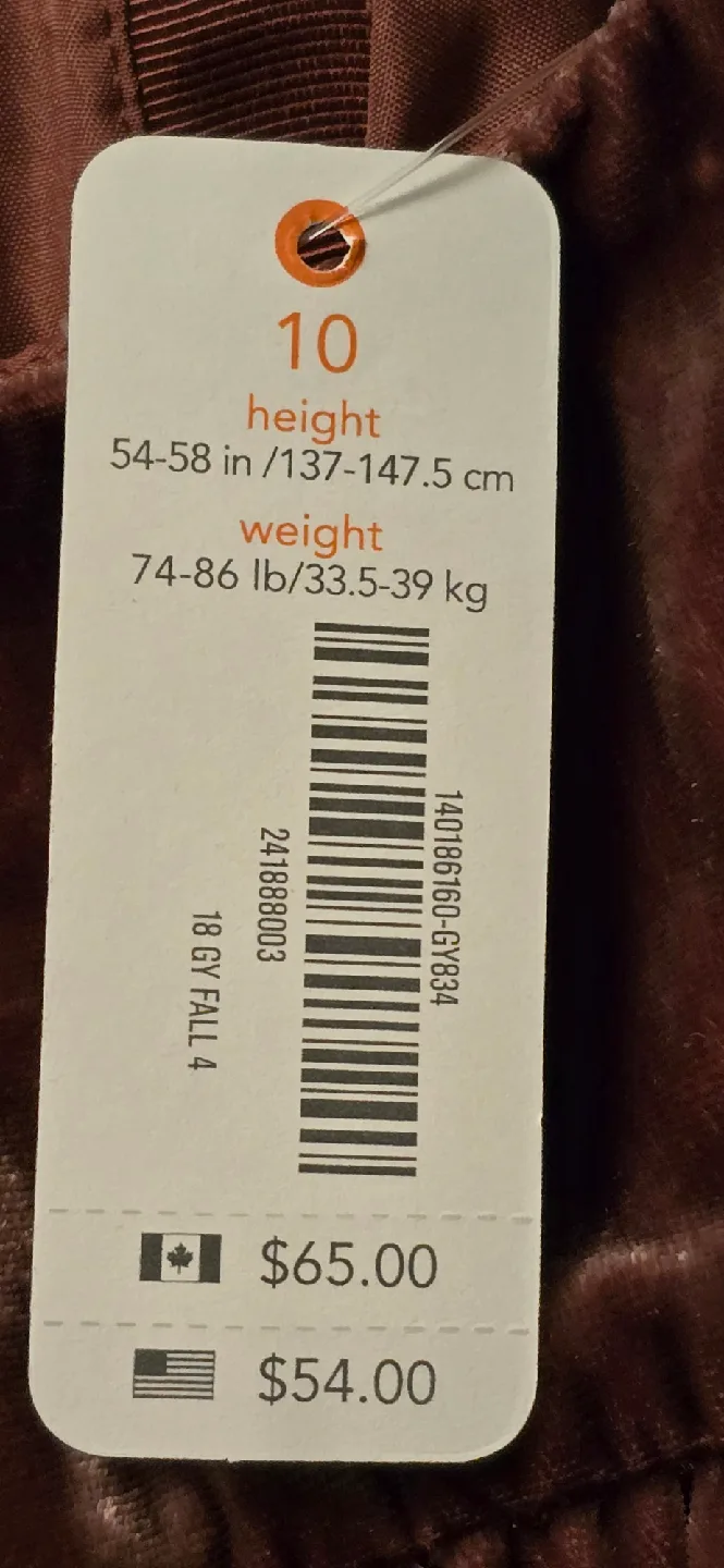 NEW! Girls Gymboree Brown Velvet Dress - Size 10 Youth image indicator(10)