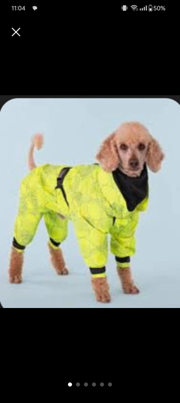 Paikka Visibility Dog Rain Suit