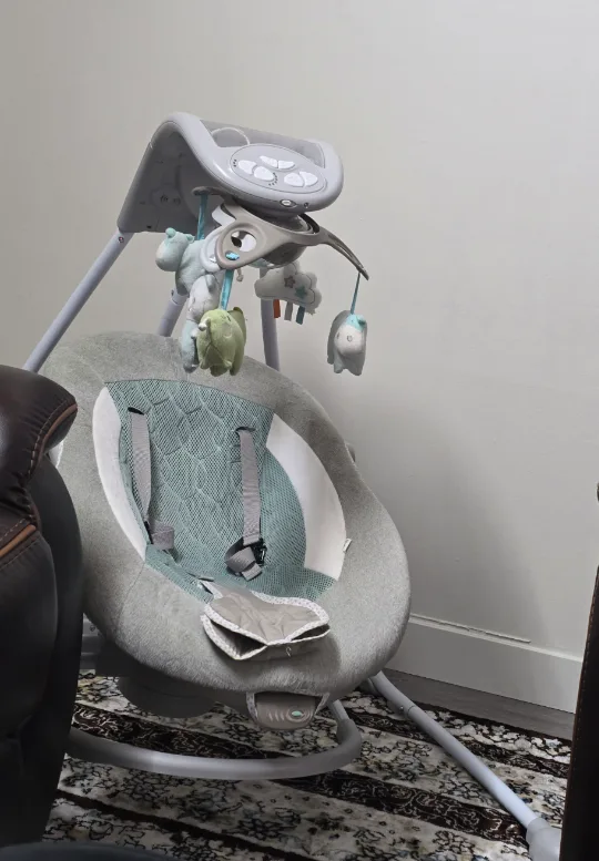 Ingenuity ConvertMe Swing-2-Seat thumbnail