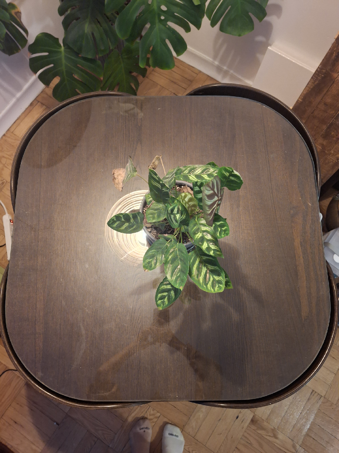 Glass Top Dining Table with 4 Chairs - photo 4