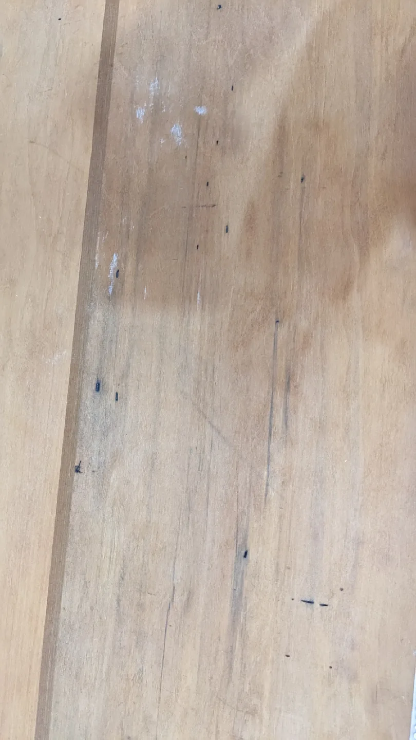 Traditional Chinese Shell art image indicator(2)