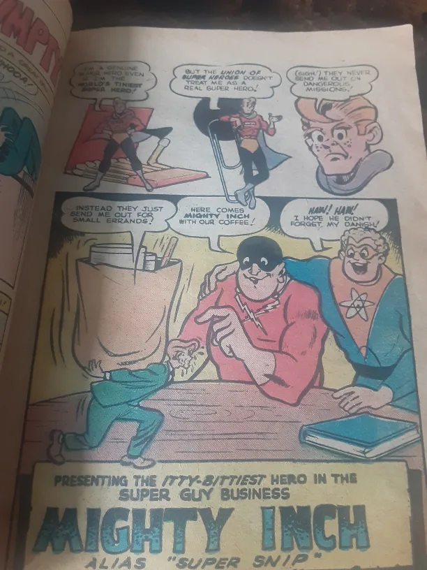 Mad House Comics Digest Magazine (1979) #5 image indicator(5)