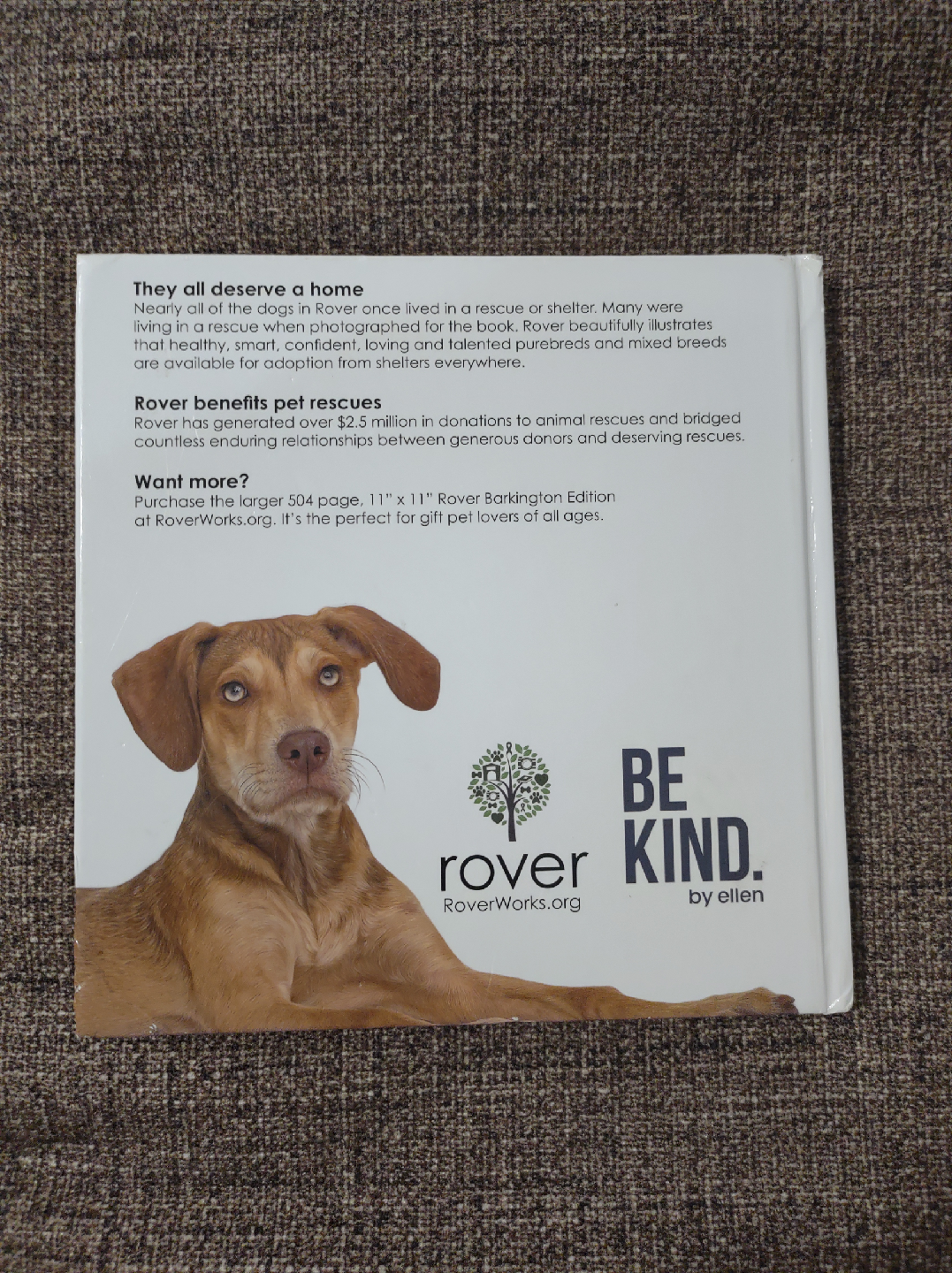 "Rover" by Amanda Hedlund and Andrew Grant - photo 2