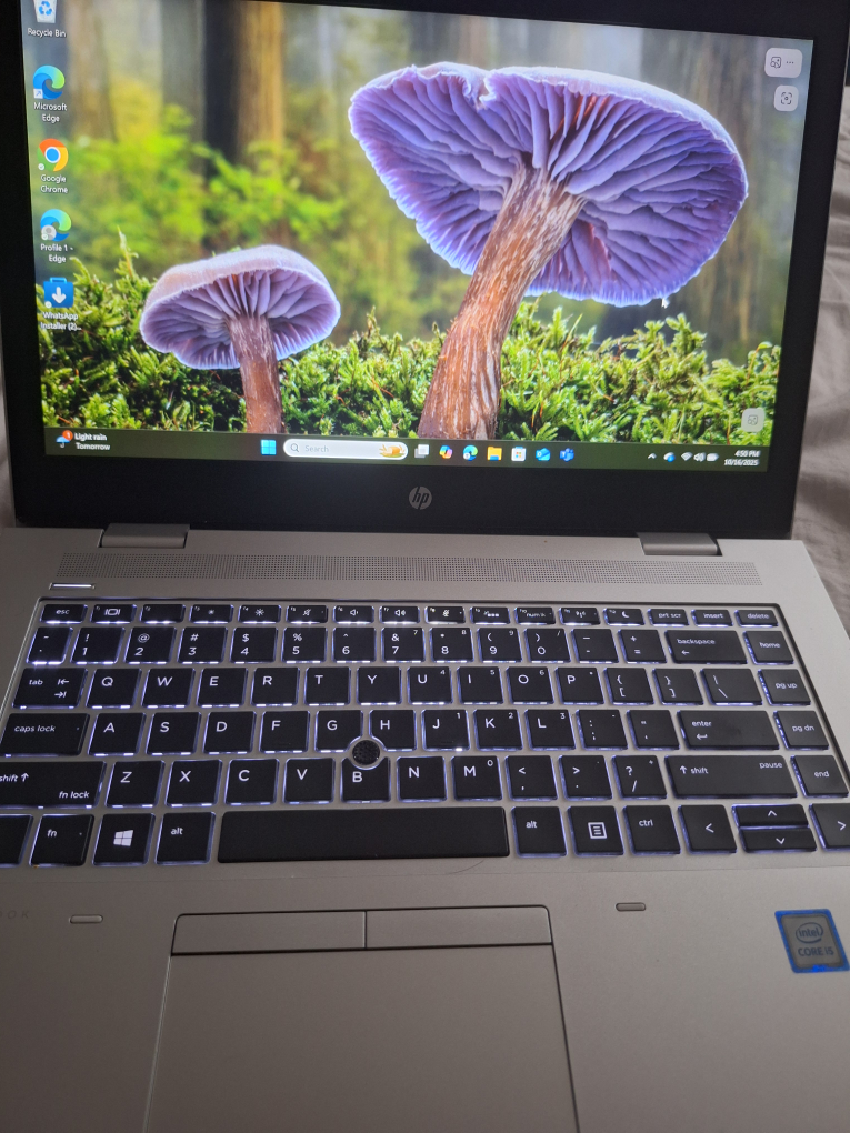 HP ProBook Laptop - photo 4