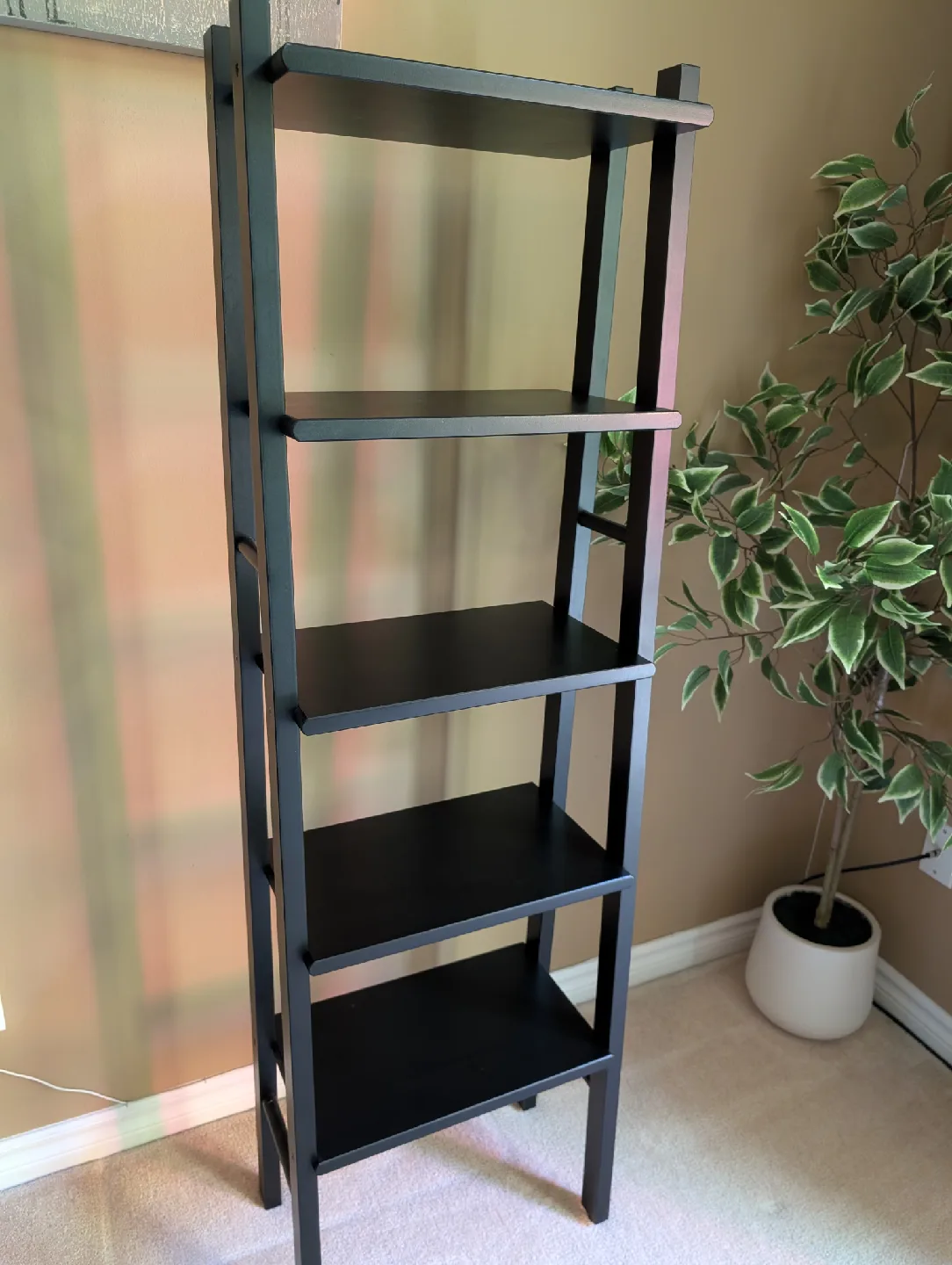 Black Ladder Shelf