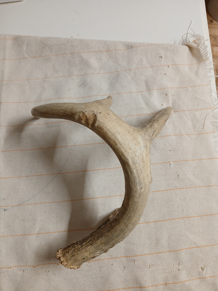 Deer Antler - photo 5