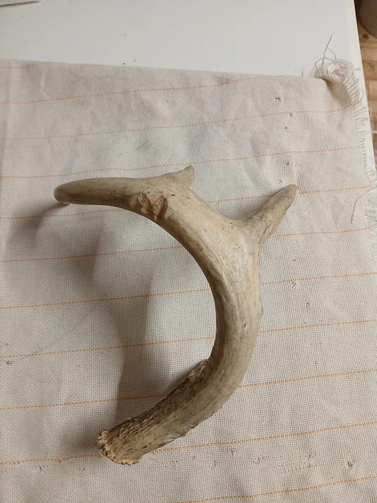 Deer Antler image indicator(5)