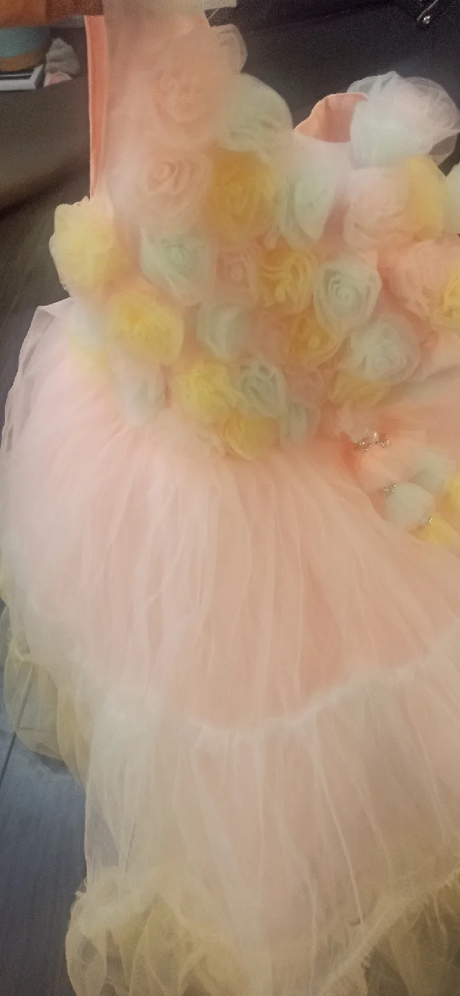 Pastel Pink & Yellow Flower Girl Dress.5-7yrs image indicator(8)