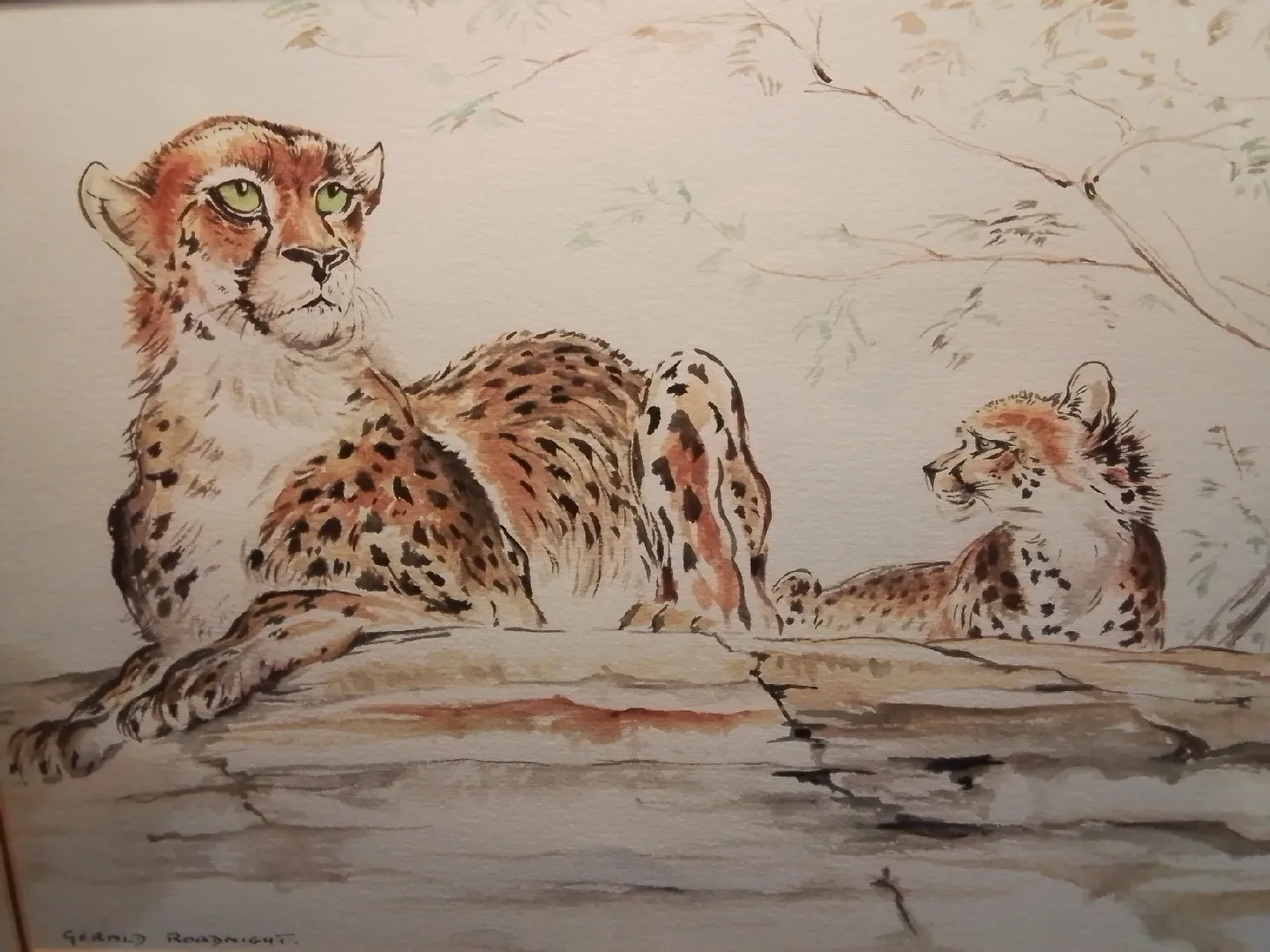 Gerald Roadnight Cheetah Watercolor Painting image indicator(2)