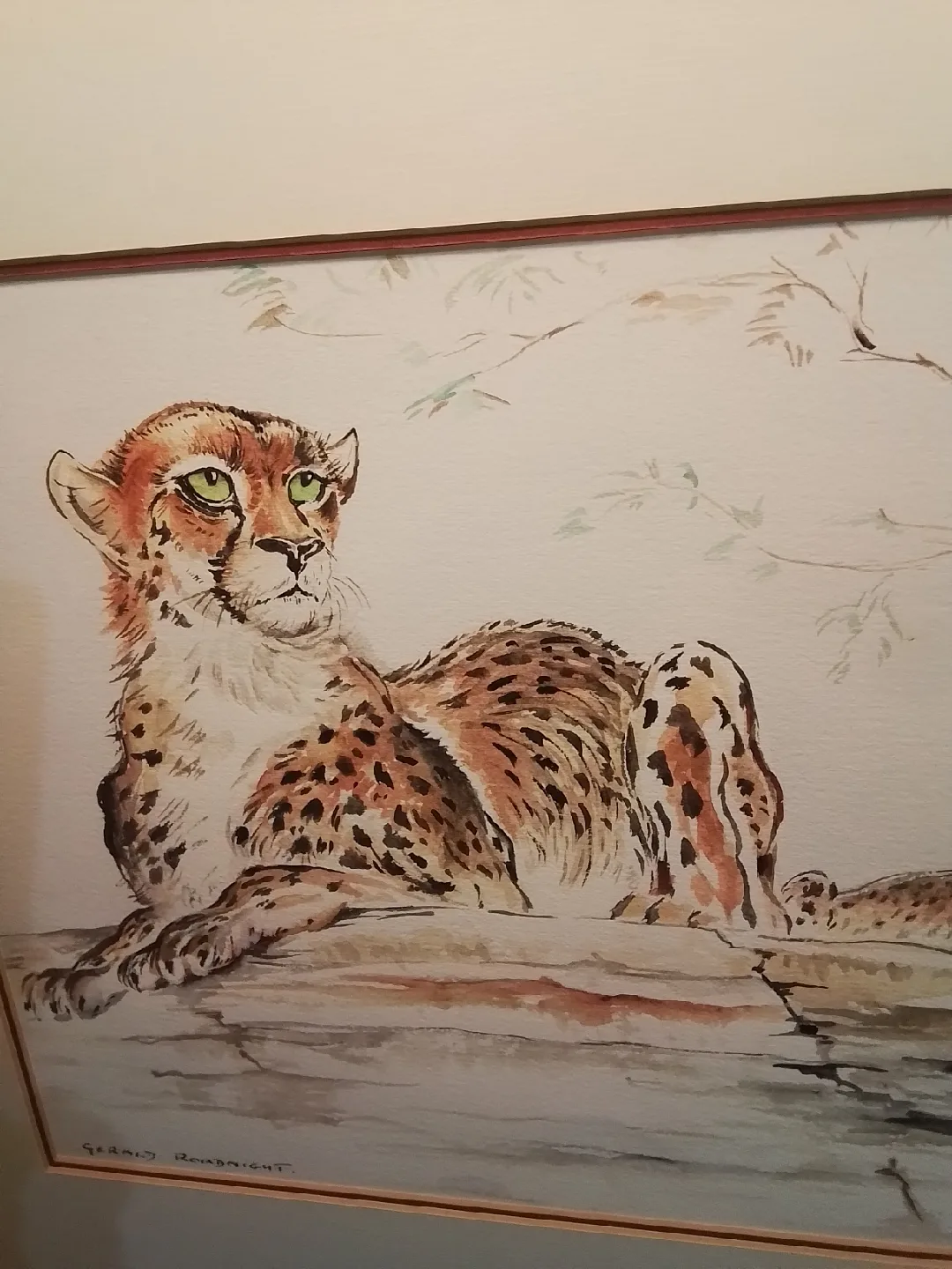 Gerald Roadnight Cheetah Watercolor Painting image indicator(7)