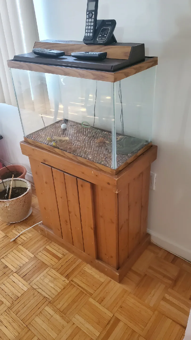 Fish tank with wooden stand image indicator(2)