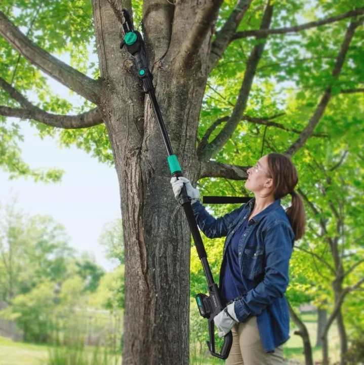 Denali by SKIL 20V Brushed 8-Inch Pole Saw Kit image indicator(2)