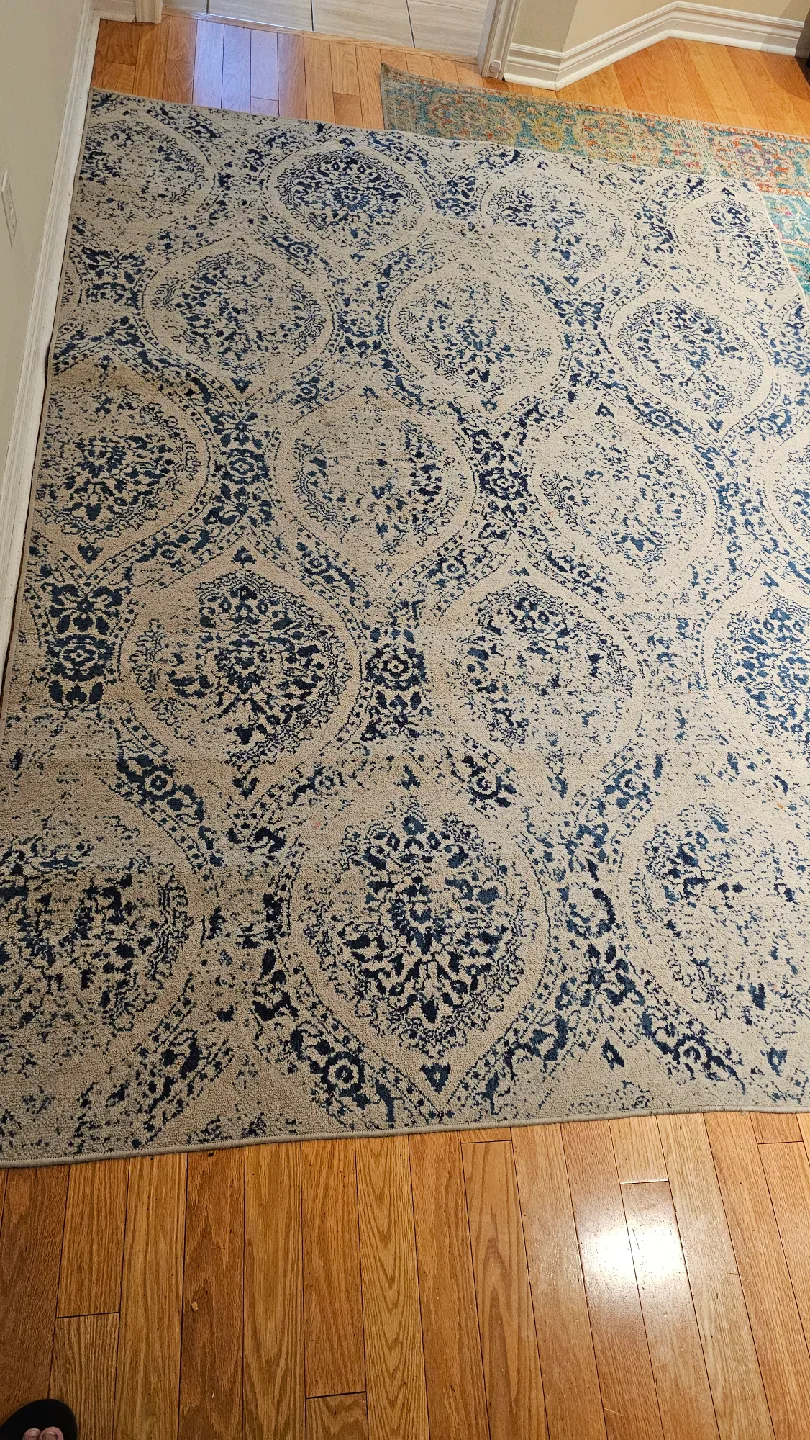 Patterned Area Rug image indicator(2)