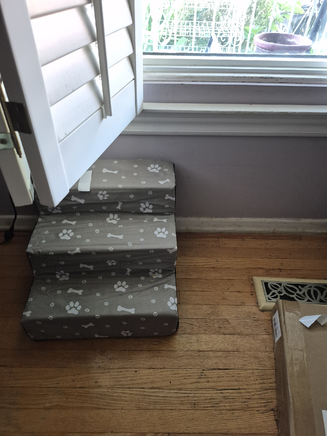 Dog Steps with Paw Print Design