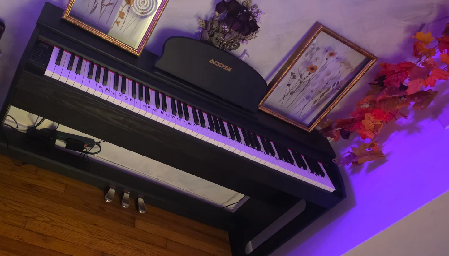 AODSK 88-Key Digital Piano - Weighted Keyboard image indicator(5)