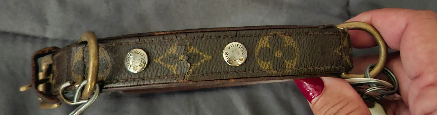 Louis Vuitton Dog Collar image indicator(2)