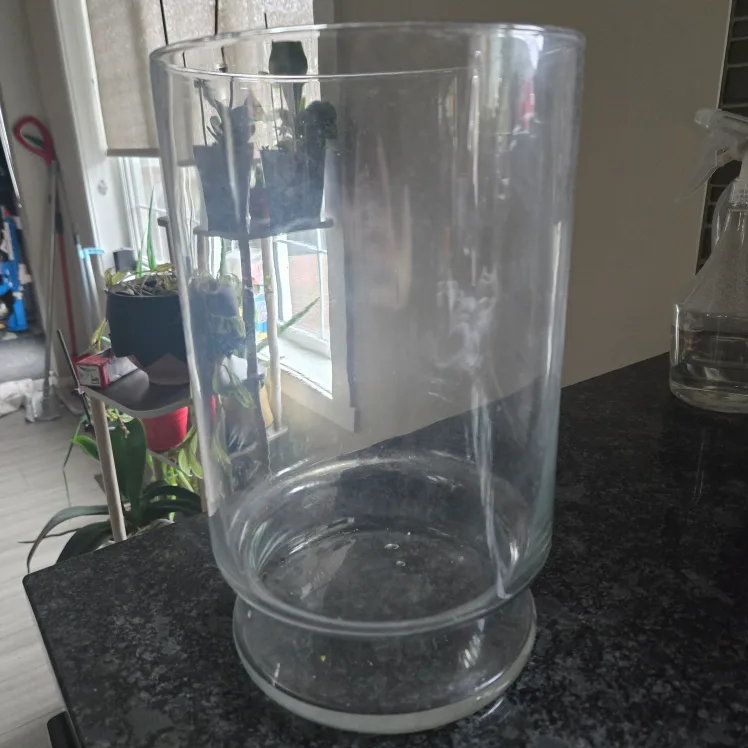 Clear Glass Cylinder Vase thumbnail