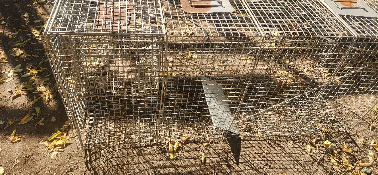 Havahart Easy Set Live Animal Cage Trap image indicator(7)