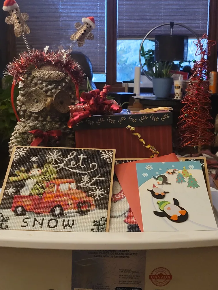 assortment of holiday items 🎄✨️🎁