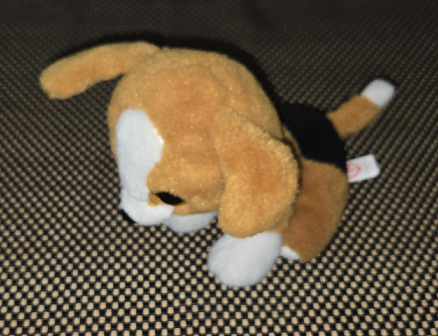 Beanie Boo , Snicky Retired (2017) (Mistake - EAR) - photo 3