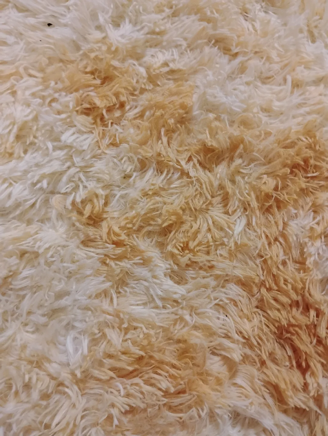 Yellow & Grey Shag Rug image indicator(7)