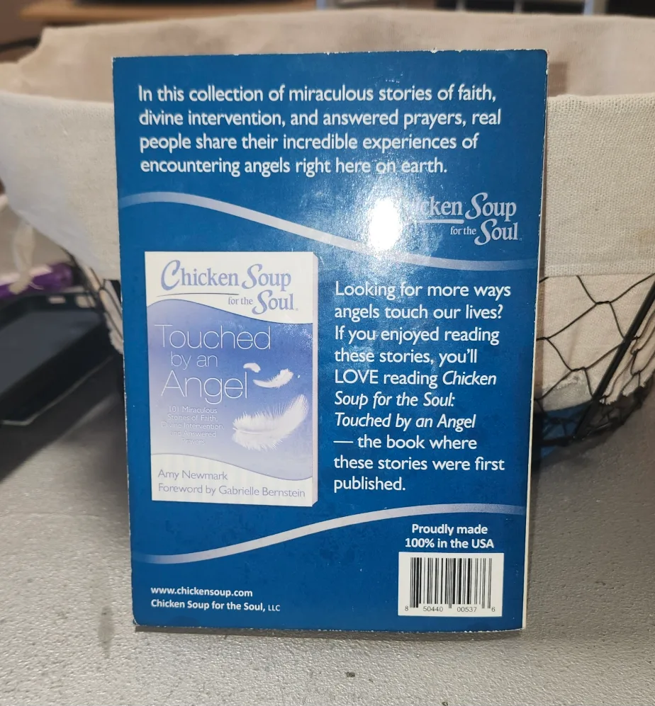 Chicken Soup for the Soul: Divine Messengers by Amy Newmark 🥕 image indicator(2)