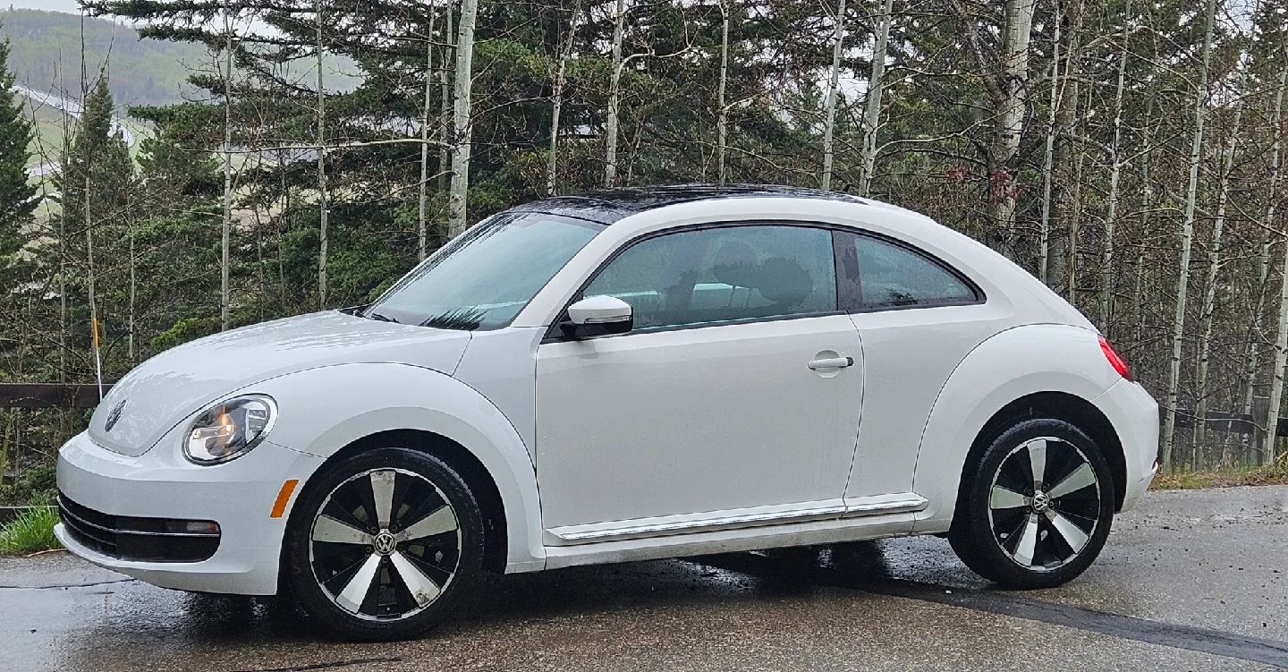 Volkswagen Beetle image indicator(3)