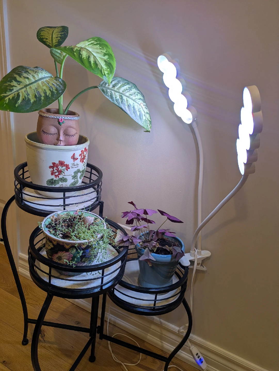 LED Grow Light for Indoor Plants