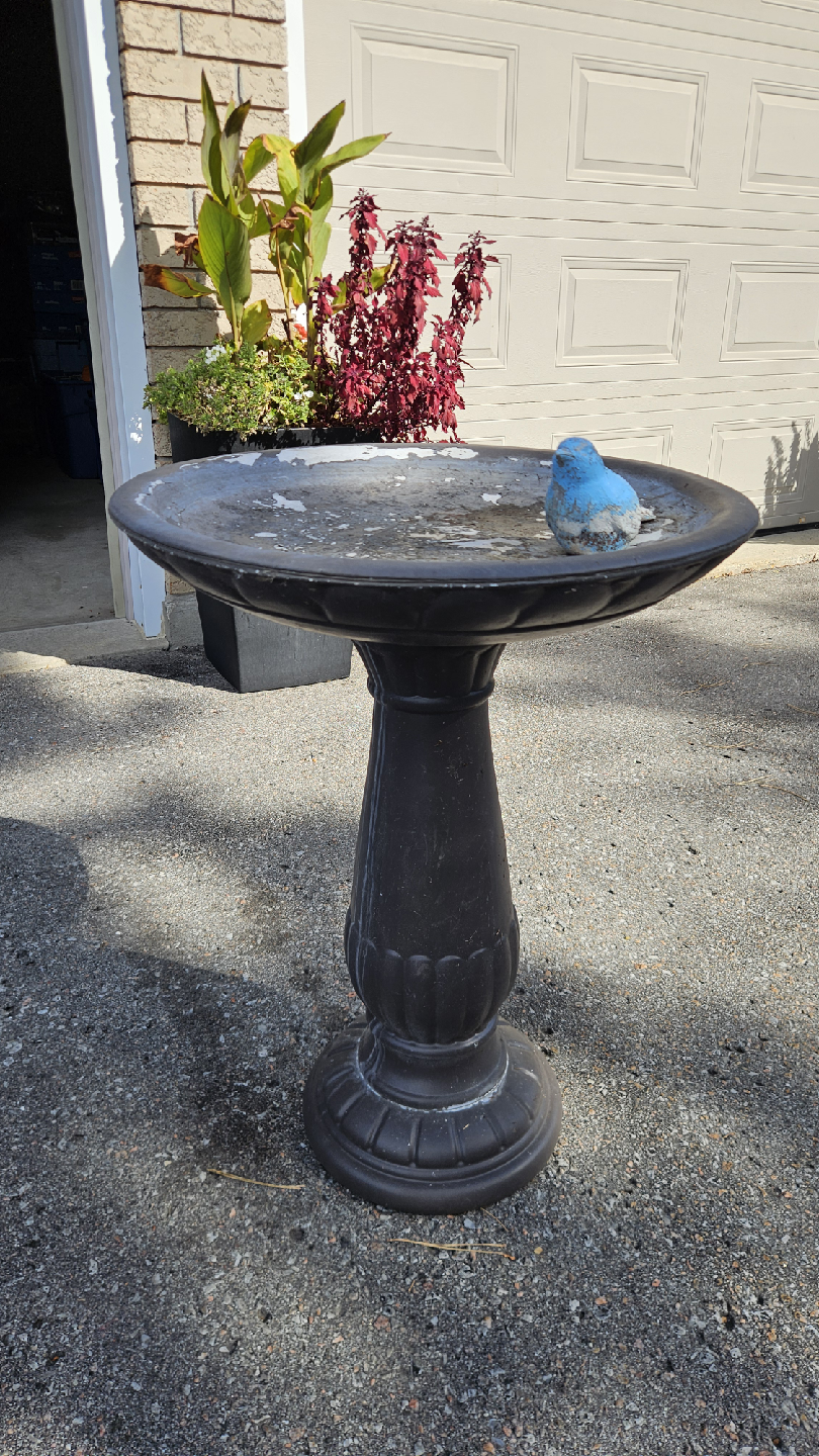 Garden Bird Bath with Bluebird Decoration