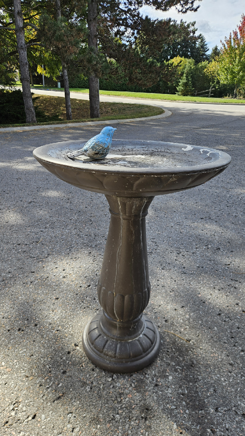 Garden Bird Bath with Bluebird Decoration - photo 2