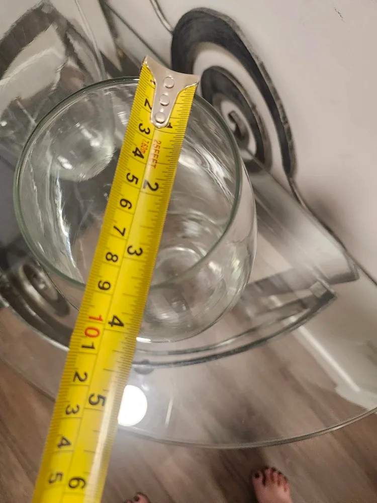 Two Glass Vases image indicator(3)