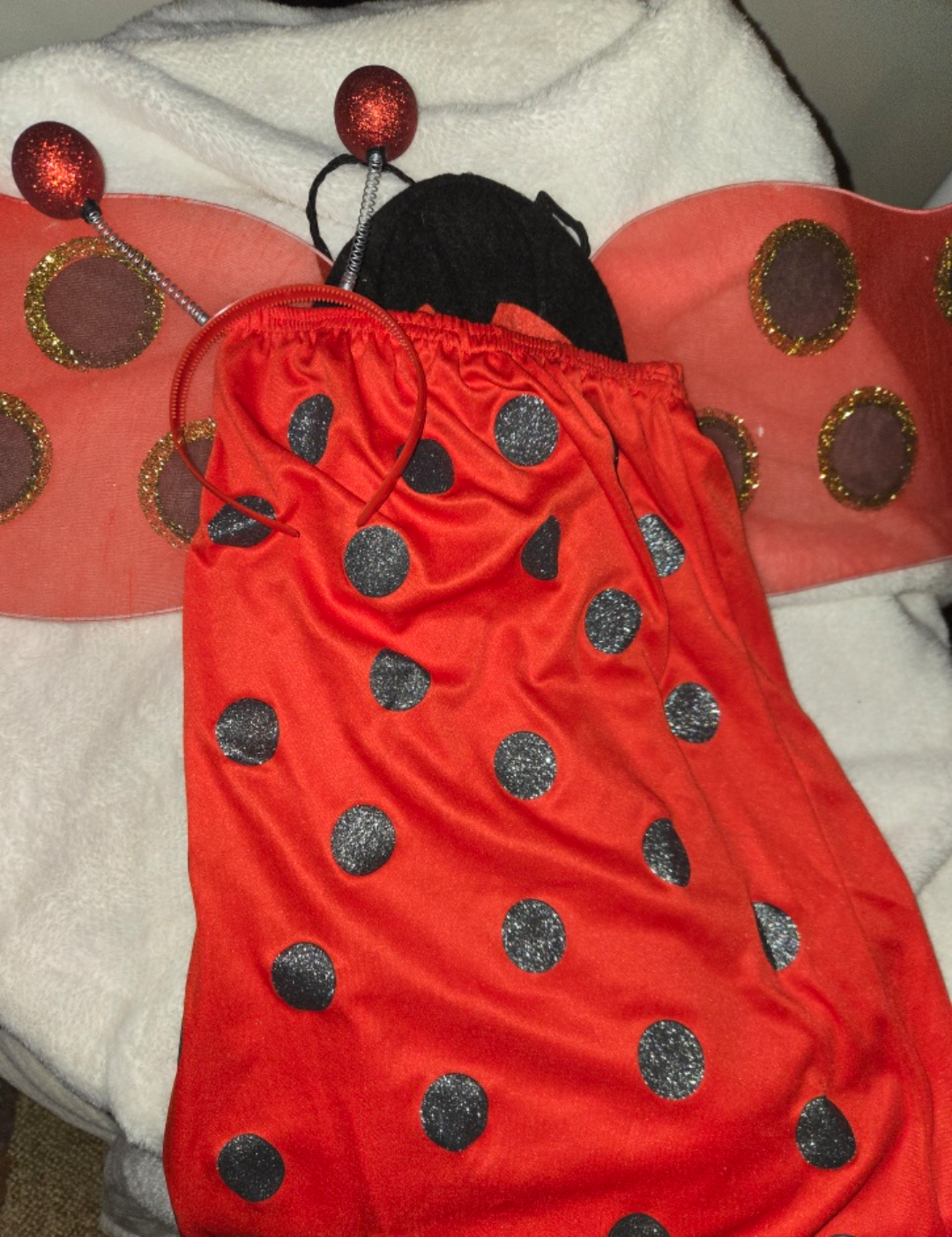 Ladybug Costume 🐞 🥕