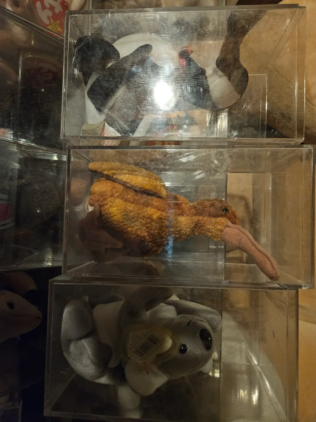 Ty Beanie Babies Collection image indicator(2)