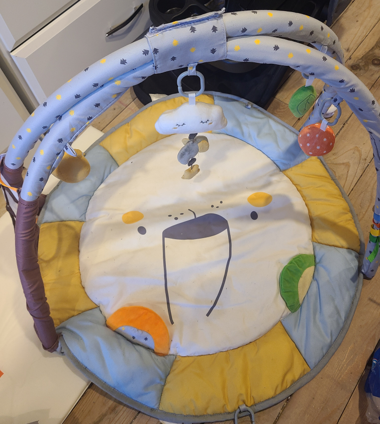 Baby Play Mat with Activity Arch