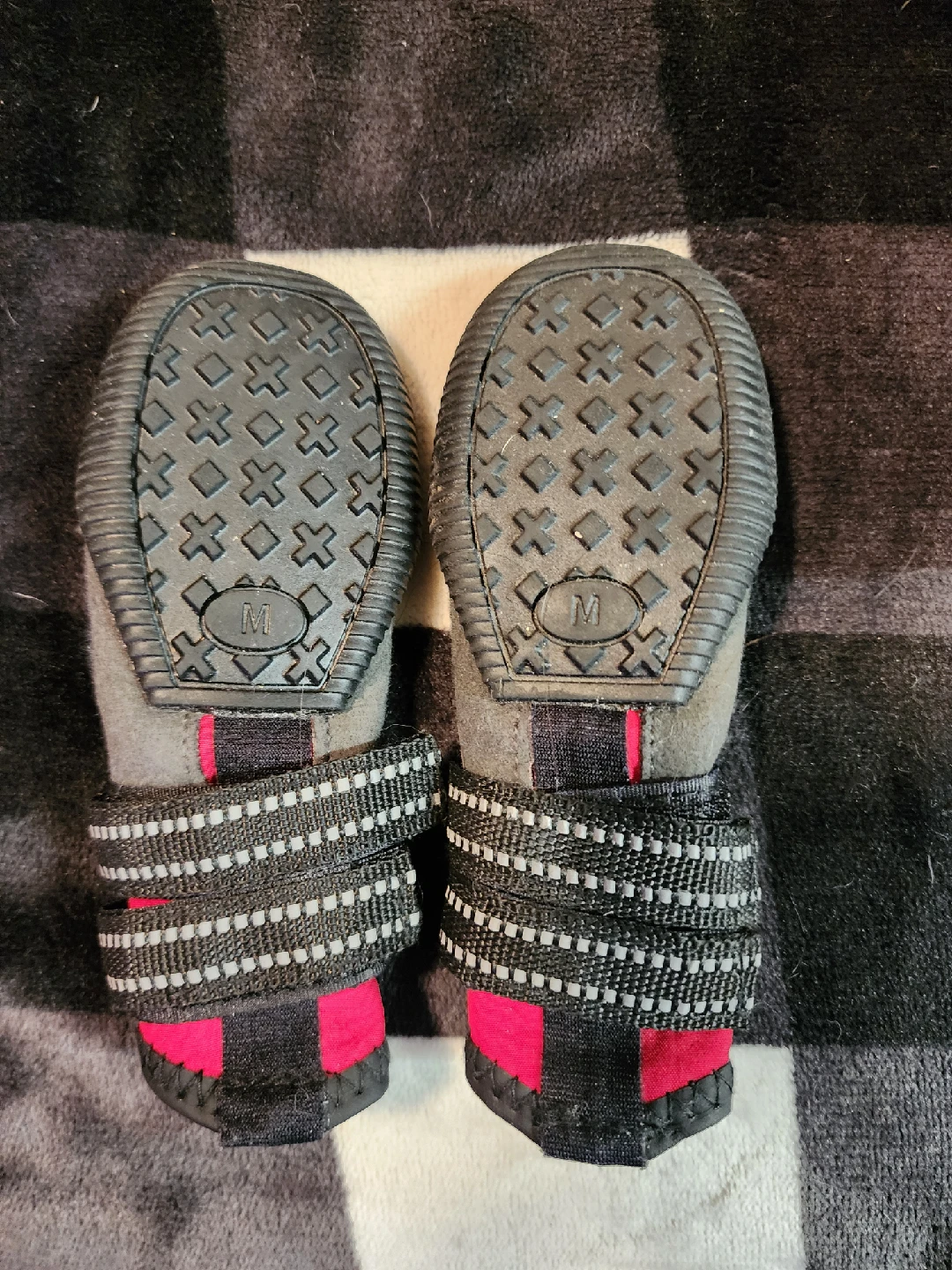 Arcadia Trail Dog Boots - Size M - photo 3