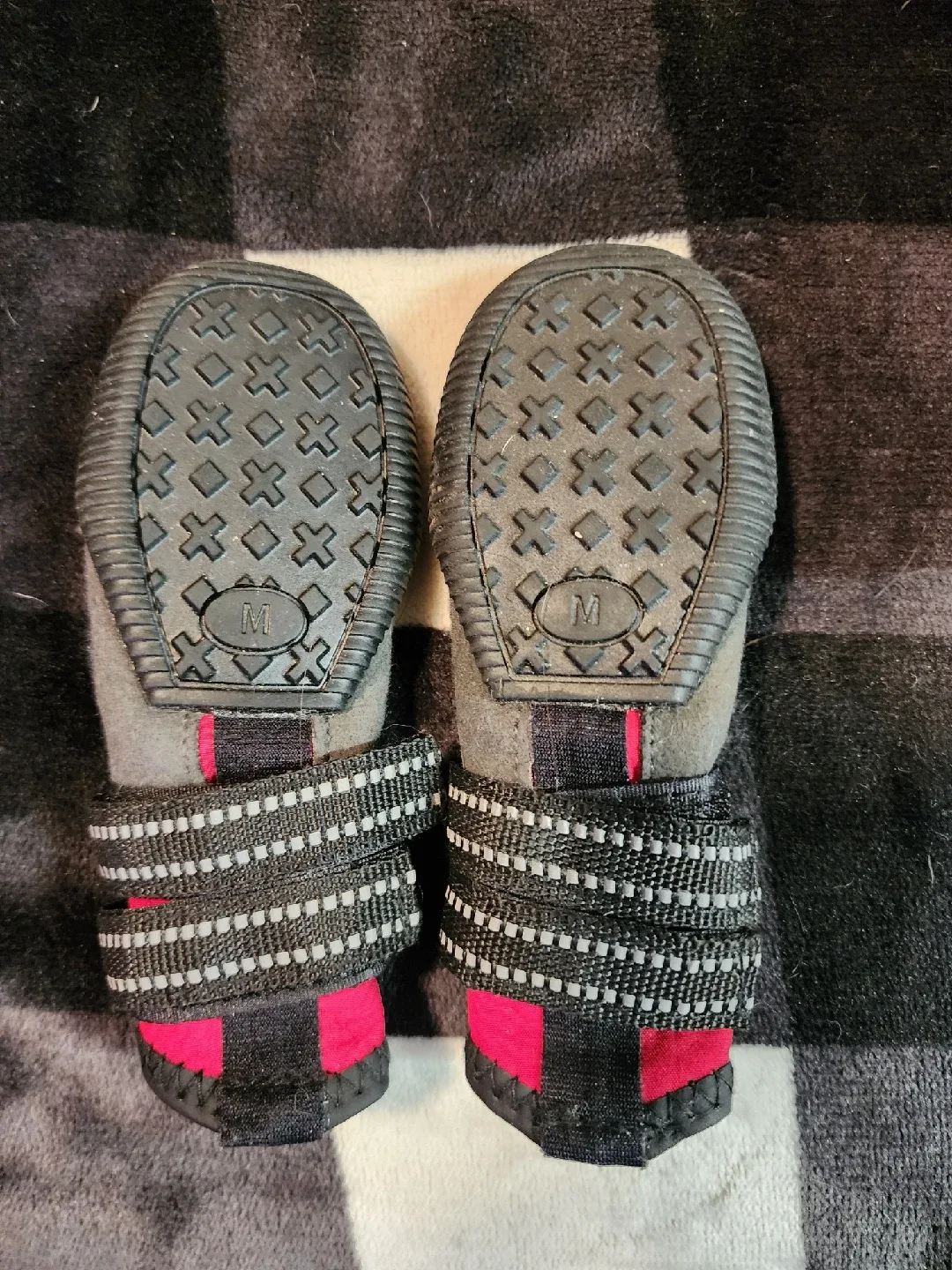 Arcadia Trail Dog Boots - Size M image indicator(3)