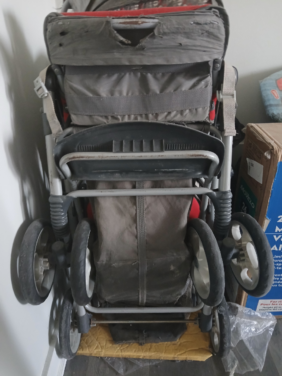 Movelto Stroller