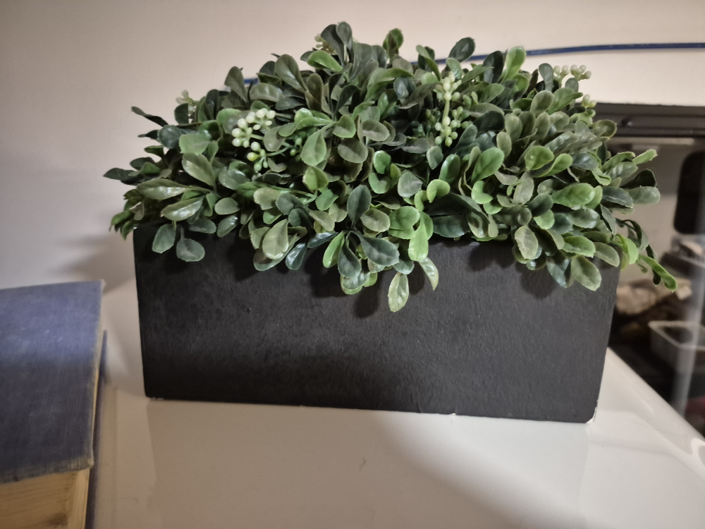 Artificial Boxwood in Planter 4" by 10" FULLER LAKE area