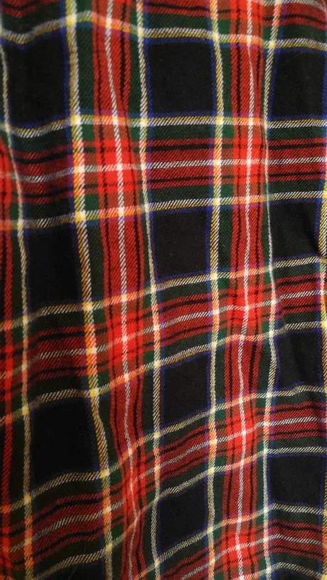 Plaid Flannel Shirt - Women Size XS image indicator(3)