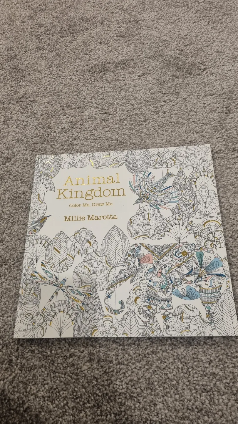 2 adult Colouring Books: Animal Kingdom & Splendid Cities image indicator(3)