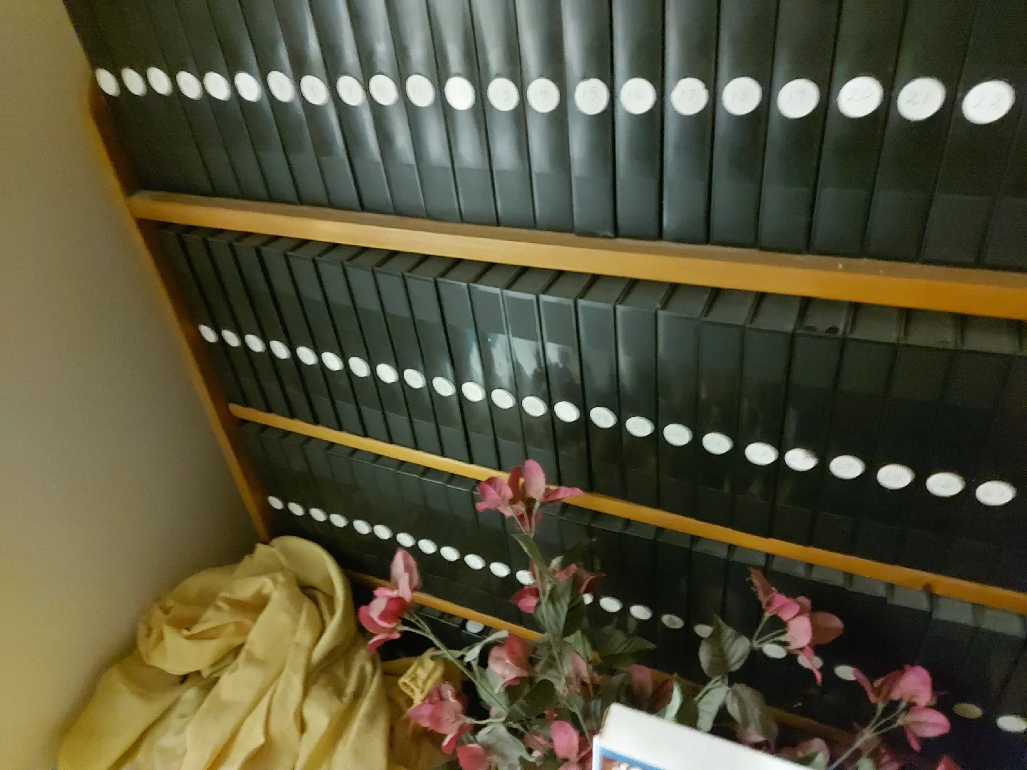 VHS Tapes - Movies image indicator(2)