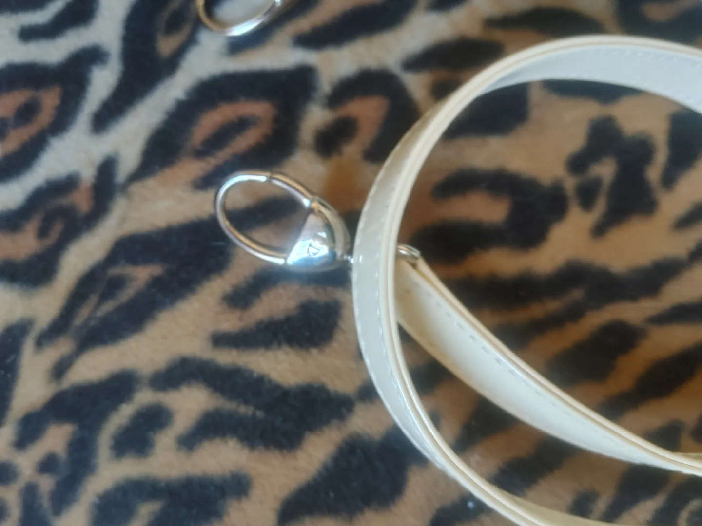 Lady Dior Bag with strap image indicator(6)