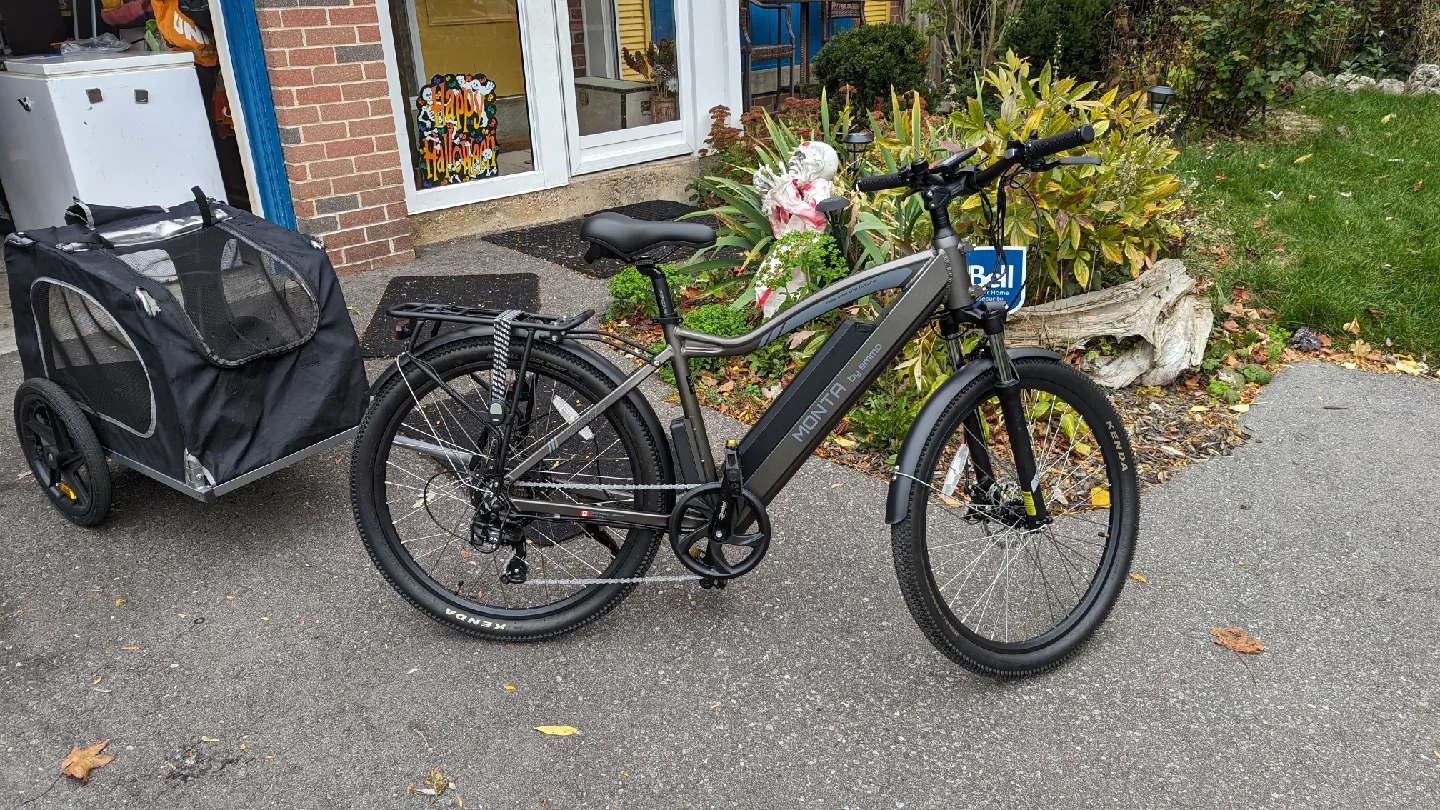Monta C2 Ebike for Food delivery or Fun image indicator(2)